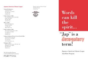 Words Can Kill the Spirit... Derogatory Term!
