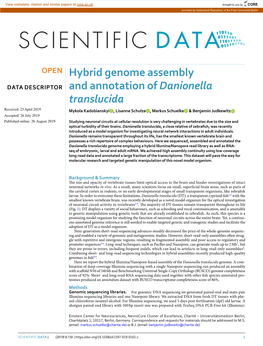 Hybrid Genome Assembly and Annotation of Danionella Translucida