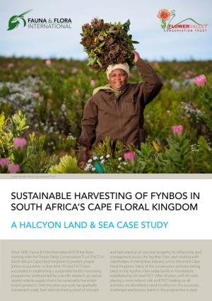 Sustainable Harvesting of Fynbos in South Africa's Cape Floral Kingdom