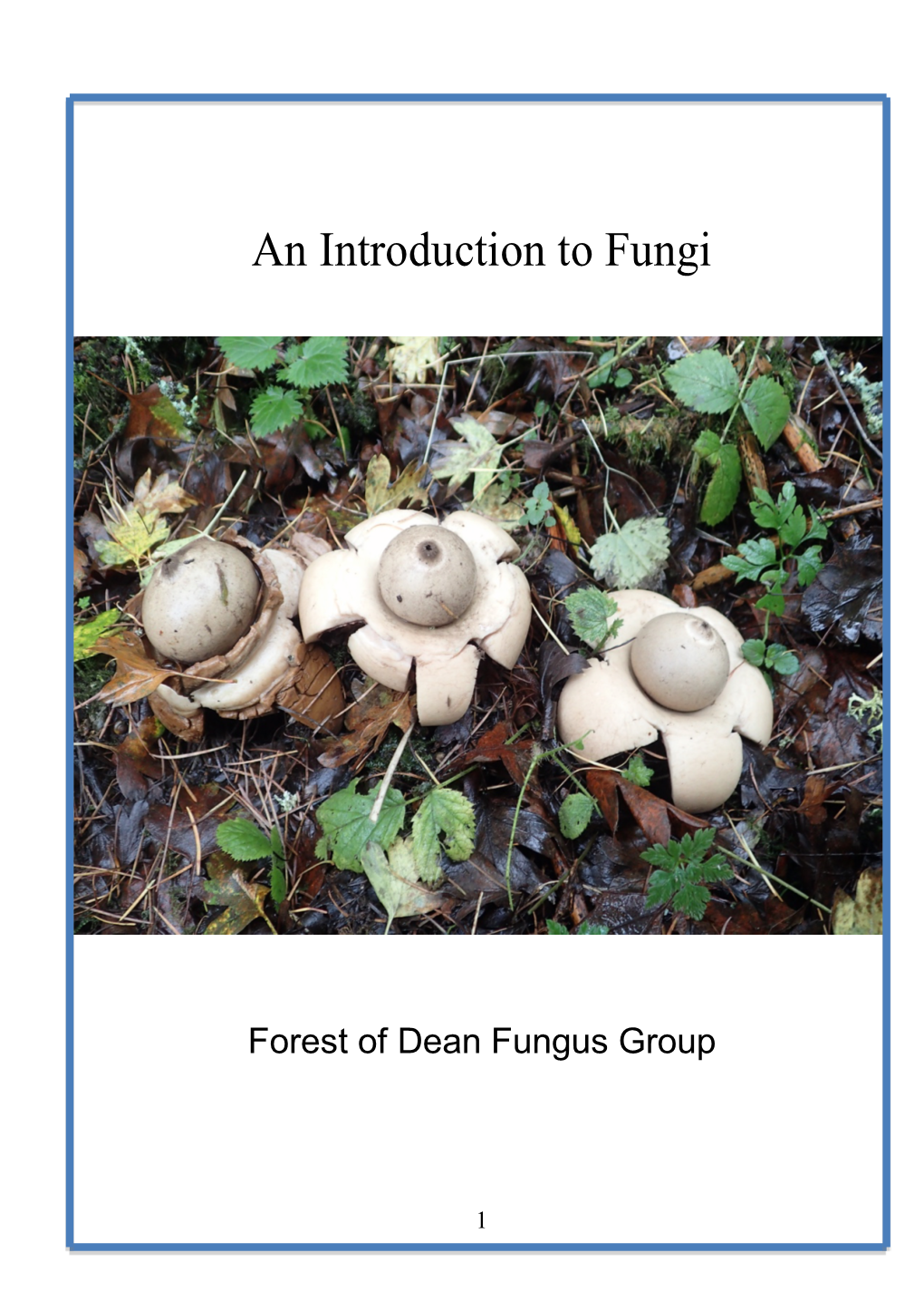 Introduction to Dean Fungi