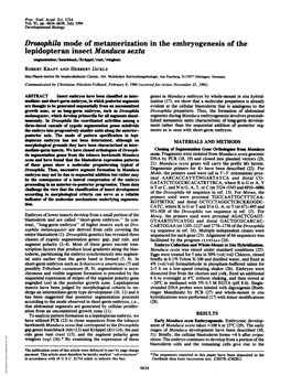 Drosophila Mode of Metamerization in the Embryogenesis of the Lepidopteran Insect Manduca Sexta