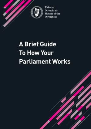 Houses of the Oireachtas a Brief Guide to How Your Parliament Works