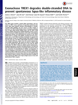 Exonuclease TREX1 Degrades Double-Stranded DNA to Prevent Spontaneous Lupus-Like Inflammatory Disease