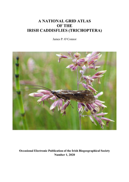 A National Grid Atlas of the Irish Caddisflies (Trichoptera)