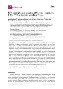 First Description of Infection of Caprine Herpesvirus 1 (Cphv‐1) in Goats in Mainland France