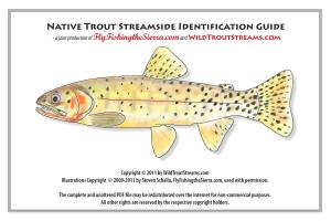 Native Trout Streamside Identification Guide - a Joint Production of Flyfishingthesierra.Com and Wildtroutstreams.Com