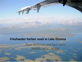 Freshwater Harbor Seals in Lake Iliamna Dave Withrow and Kym Yano NMML, AFSC, NOAA