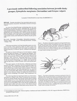 (Serranidae) and Octopus Vulgaris By