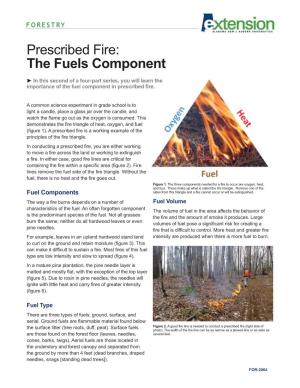 Prescribed Fire: the Fuels Component