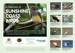 Sunshine Coast Birds