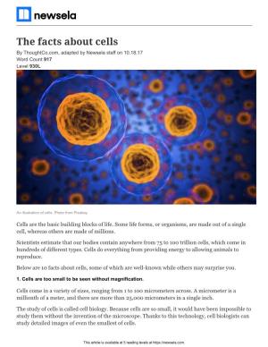 The Facts About Cells by Thoughtco.Com, Adapted by Newsela Staff on 10.18.17 Word Count 917 Level 930L