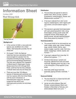Red Sheep Tick (Haemaphysalis Punctata) Fact Sheet