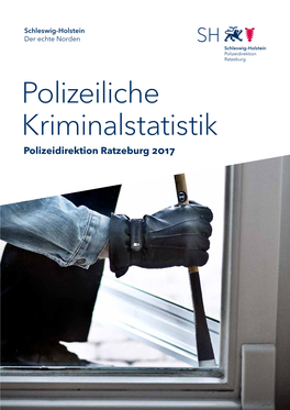 Polizeiliche Kriminalstatistik Polizeidirektion Ratzeburg 2017