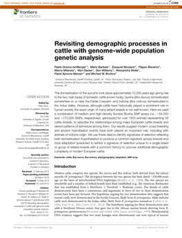 Revisiting Demographic Processes in Cattle with Genome-Wide Population Genetic Analysis