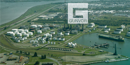 GUNVOR Annual Brochure We