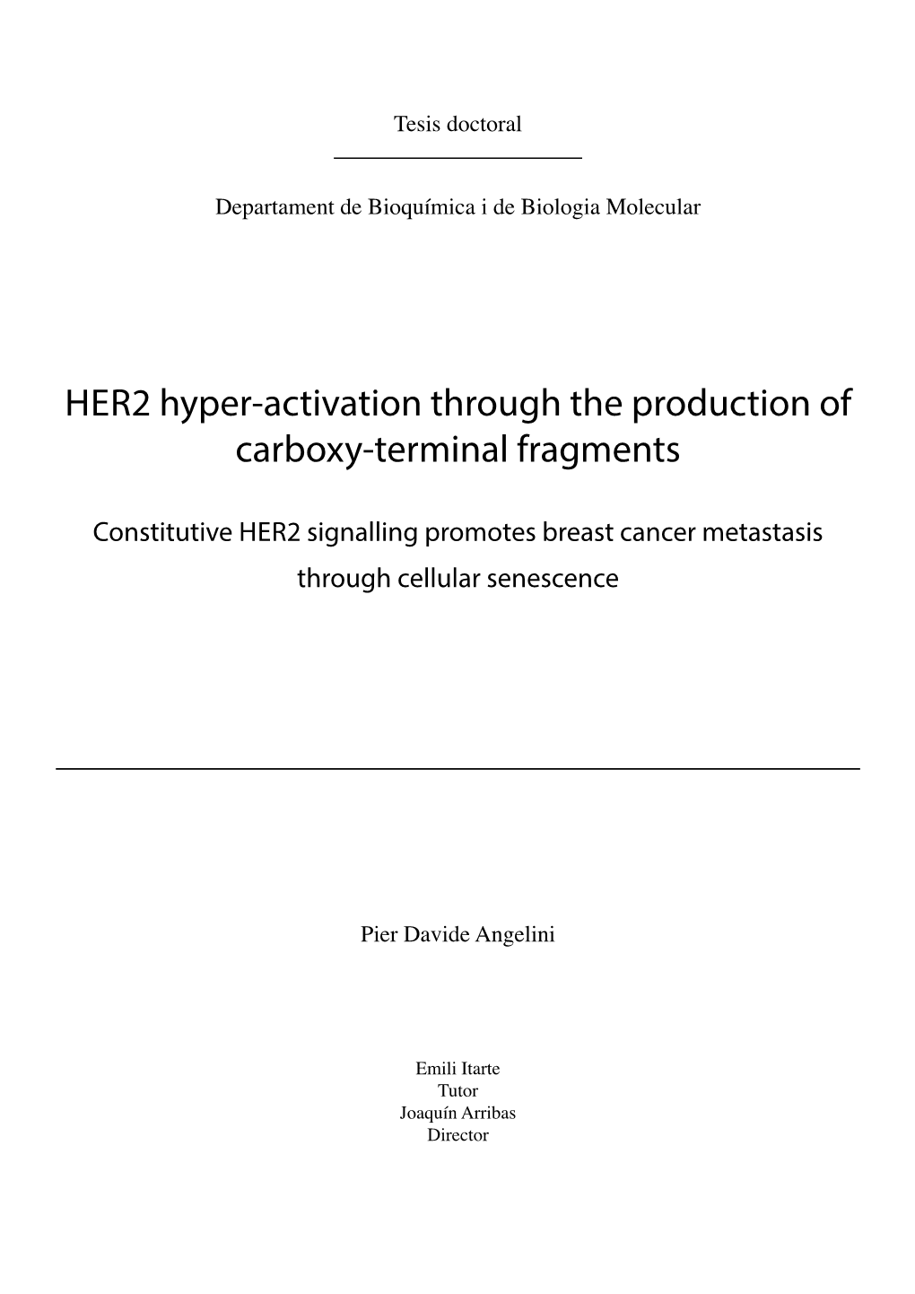 Her2 Hyper-Activation Through the Production of Carboxy-Terminal Fragments