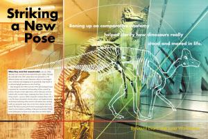 Boning up on Comparative Anatomy Helped Clarify How Dinosaurs Really