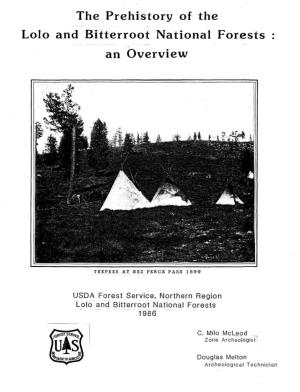 The Prehistory of the Lolo and Bitterroot National Forests : an Overview