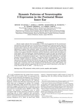 Dynamic Patterns of Neurotrophin 3 Expression in the Postnatal Mouse Inner Ear