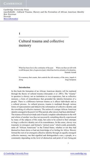 Cultural Trauma and Collective Memory