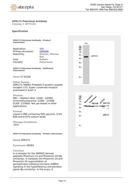 GPR173 Polyclonal Antibody Catalog # AP70181