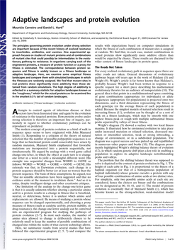 Adaptive Landscapes and Protein Evolution