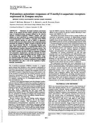 Polyamines Potentiate Responses of N-Methyl-D-Aspartate Receptors