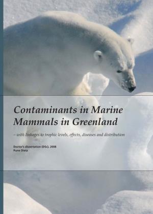 Contaminants in Marine Mammals in Greenland