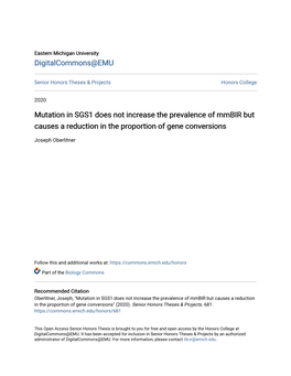 Mutation in SGS1 Does Not Increase the Prevalence of Mmbir but Causes a Reduction in the Proportion of Gene Conversions