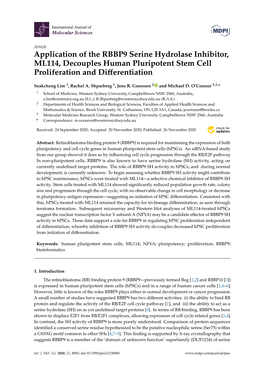 Application of the RBBP9 Serine Hydrolase Inhibitor, ML114, Decouples Human Pluripotent Stem Cell Proliferation and Diﬀerentiation