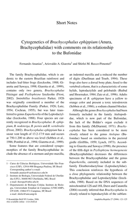 Short Notes Cytogenetics of Brachycephalus Ephippium (Anura, Brachycephalidae) with Comments on Its Relationship to the Bufonida