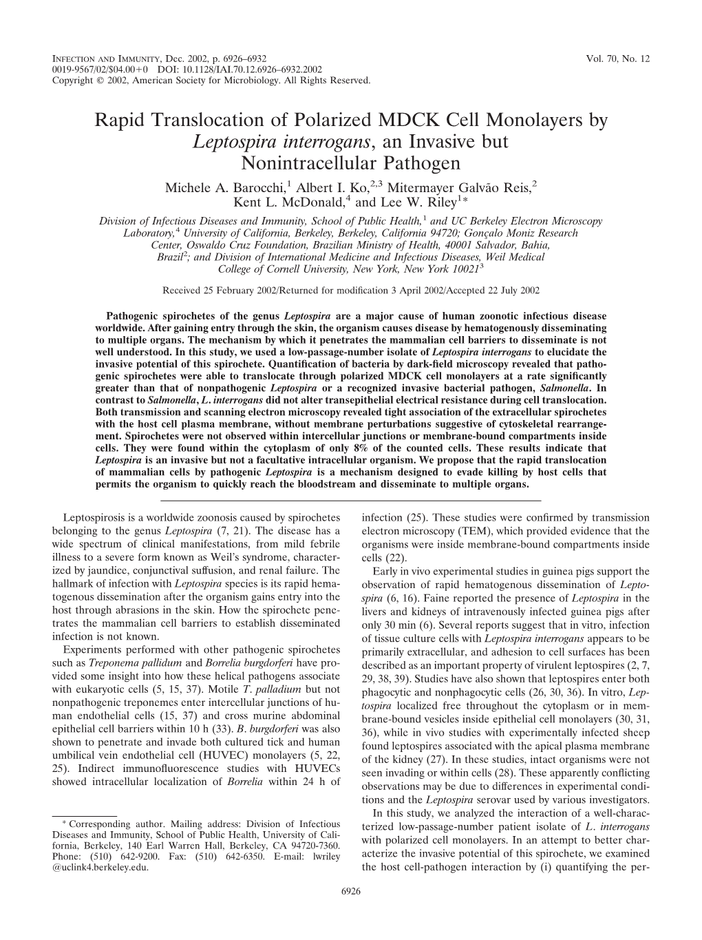 Rapid Translocation of Polarized MDCK Cell Monolayers by Leptospira Interrogans, an Invasive but Nonintracellular Pathogen Michele A