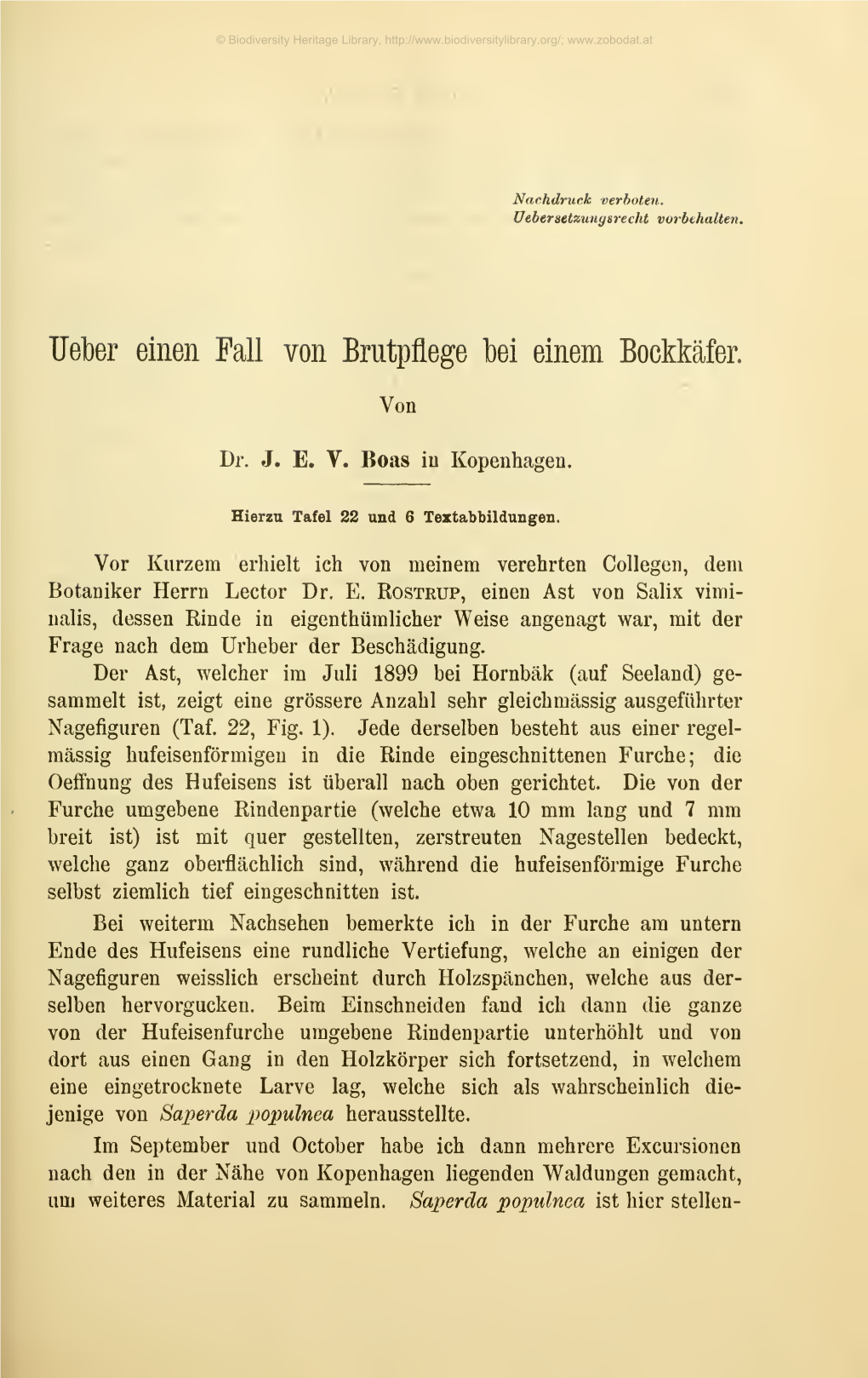 Über Einen Fall Von Brutpflege Bei Einem Bockkäfer. J. E. V