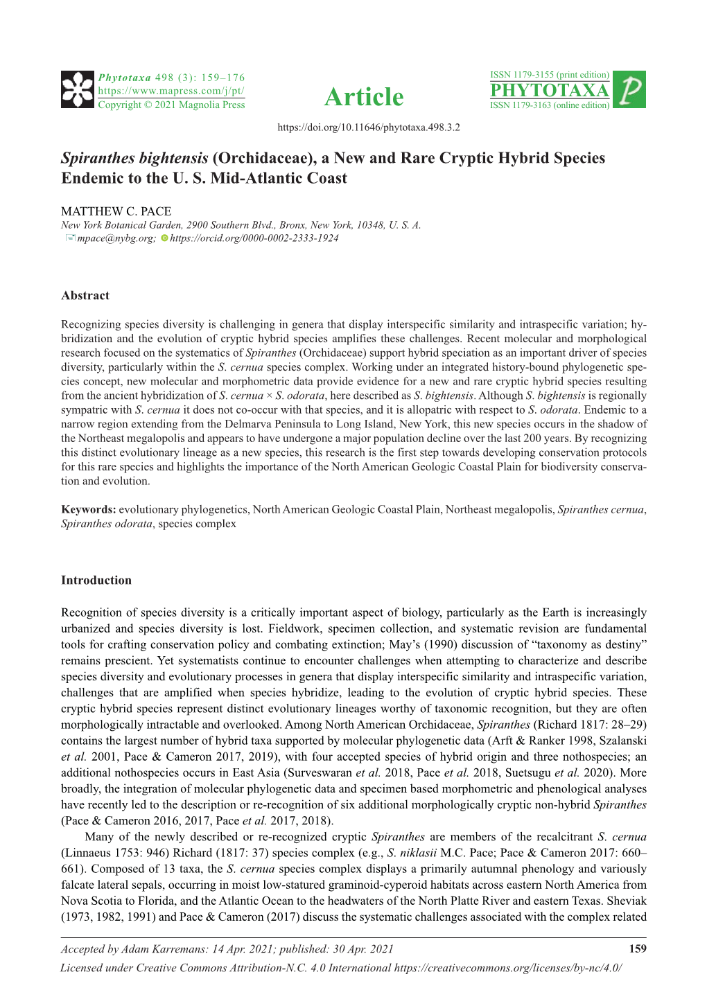 Spiranthes Bightensis (Orchidaceae), a New and Rare Cryptic Hybrid Species Endemic to the U