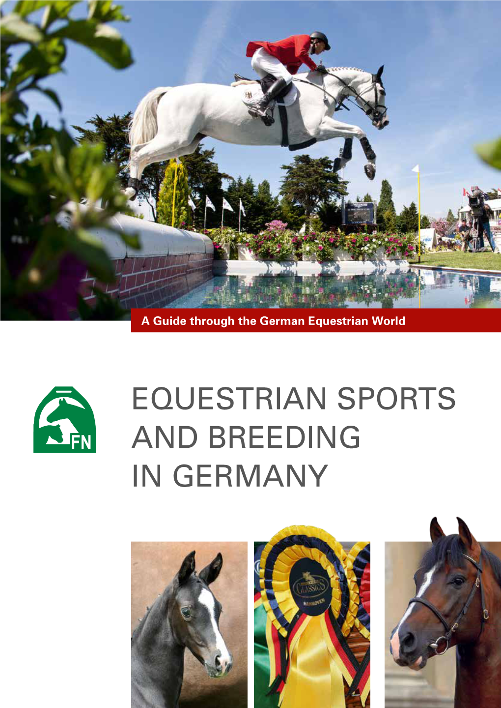 Equestrian Sports and Breeding in Germany