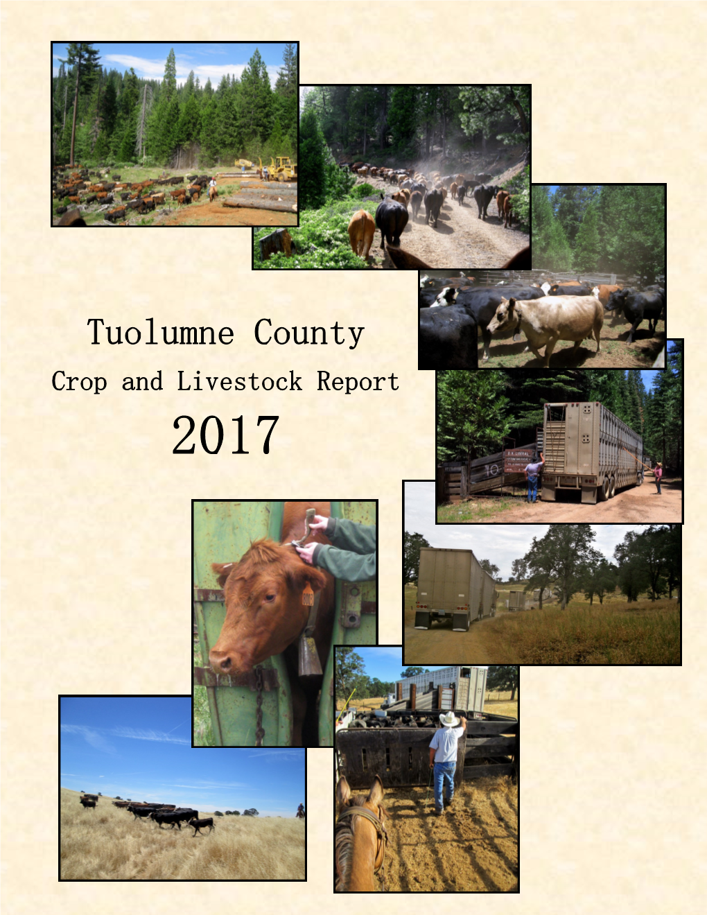 2017 Crop and Livestock Report