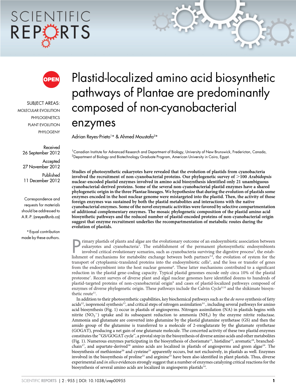 Plastid-Localized Amino Acid Biosynthetic Pathways of Plantae Are Predominantly Composed of Non-Cyanobacterial Enzymes