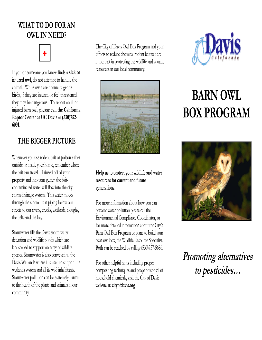 Barn Owl Box Program Or Plans to Build Your Detention and Wildlife Ponds Which Are Own Owl Box, the Wildlife Resource Specialist