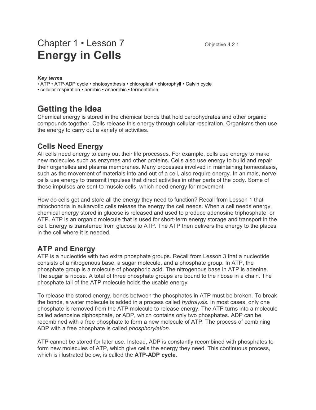 Chapter 1 Lesson 7 Objective 4.2.1 Energy in Cells