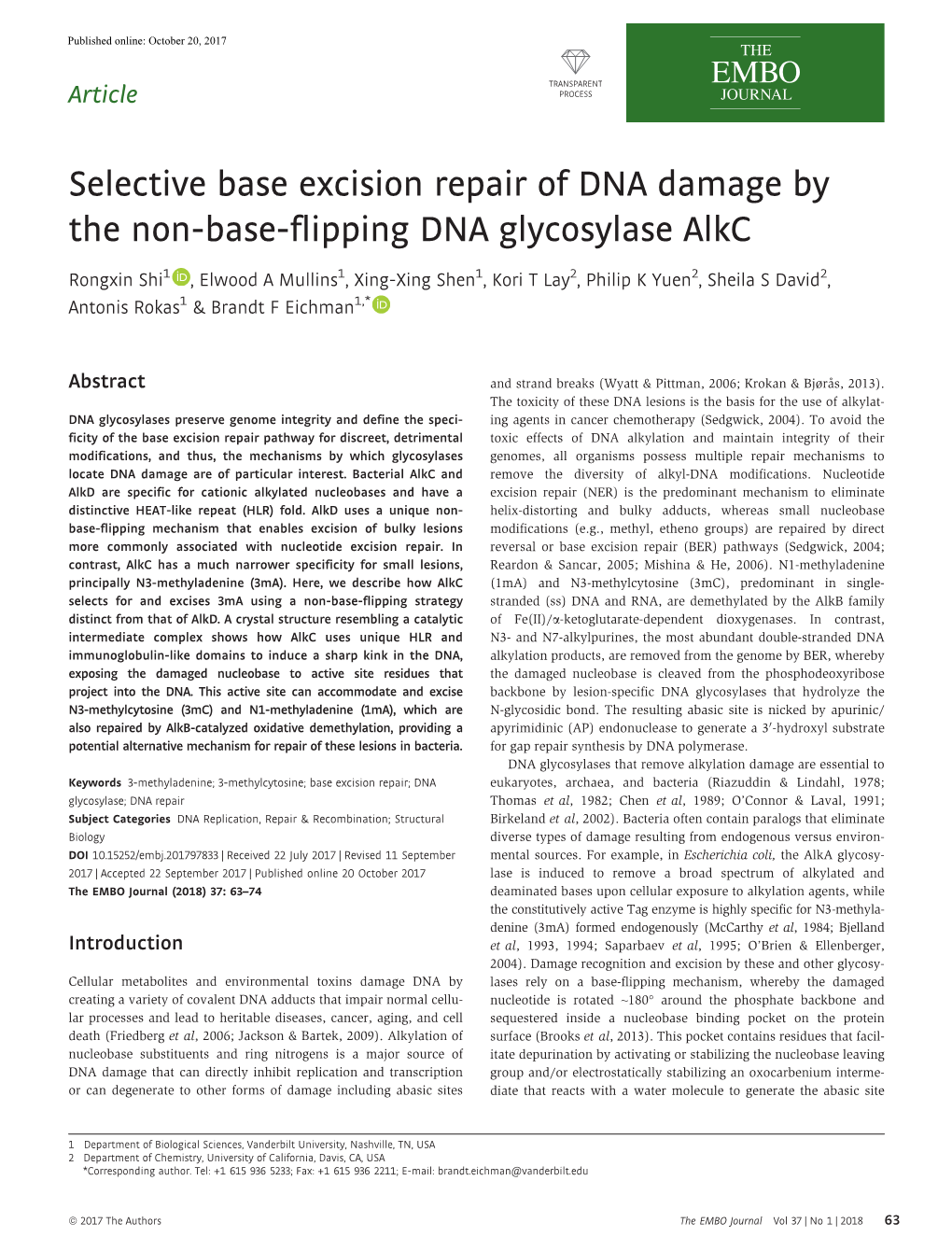 Selective Base Excision Repair of DNA Damage by the Non‐Base‐Flipping