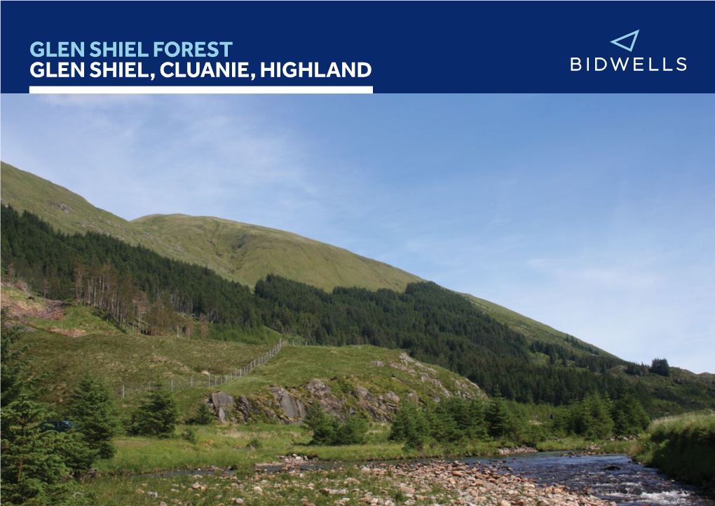 GLEN SHIEL FOREST GLEN SHIEL, CLUANIE, HIGHLAND Lot 3