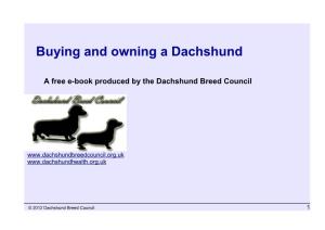 Buying and Owning a Dachshund