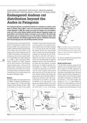 Endangered Andean Cat Distribution Beyond the Andes in Patagonia