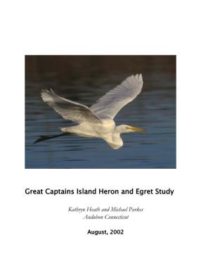 Great Captains Island Heron and Egret Study