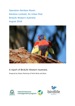 Operation Rainbow Roost: Rainbow Lorikeet, an Urban Pest Birdlife Western Australia August 2018