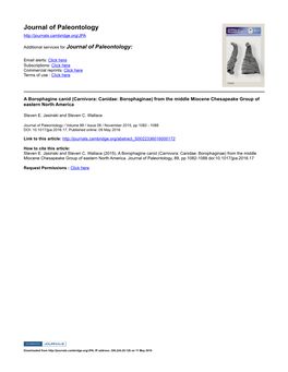 Journal of Paleontology