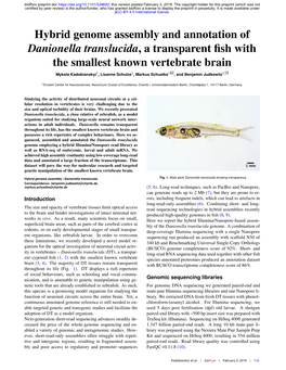 Hybrid Genome Assembly and Annotation of Danionella Translucida, a Transparent ﬁsh with the Smallest Known Vertebrate Brain