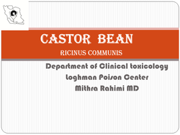 CASTOR Bean Ricinus COMMUNIS Department of Clinical Toxicology Loghman Poison Center Mithra Rahimi MD