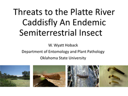 Threats to the Platte River Caddisfly an Endemic Semiterrestrial Insect