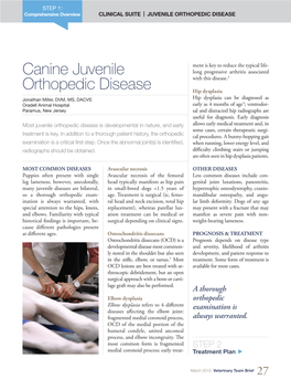 Canine Juvenile Orthopedic Disease